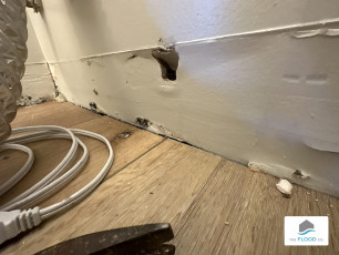 the_flood_co_utah__Laundry_Room_Photo_9