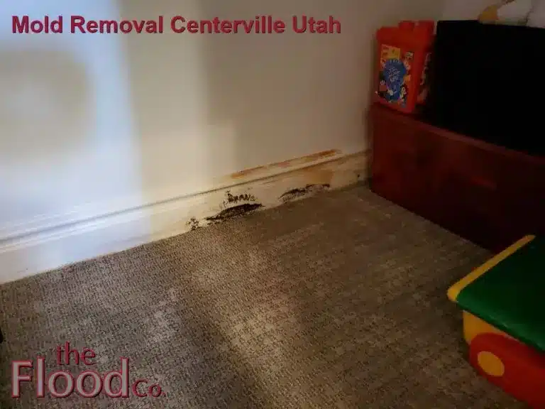 Mold Removal Centerville Utah services from The Flood Co. A picture of mold on the baseboard of a home.