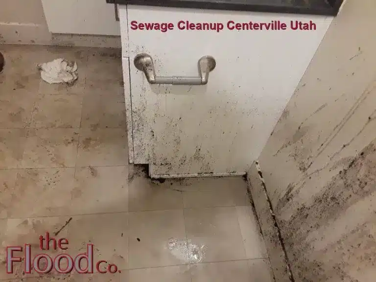 Sewage Cleanup Centerville Utah services from The Flood Co. A picture of sewage on a bathroom floor and sing.