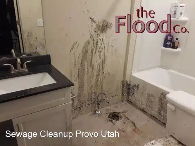 Sewage Cleanup Provo Utah services from The Flood Co. A picture of sewage on the wall and floor of a bathroom.