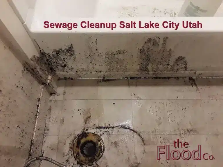 Sewage Cleanup Salt Lake City Utah services from The Flood Co. A picture of sewage on a bathroom floor. The toilet drain can be seen.