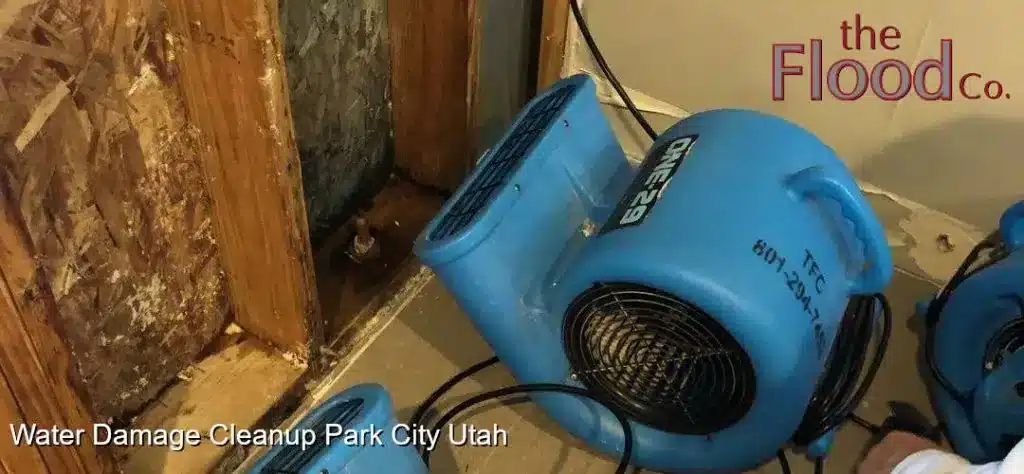 Water Damage Cleanup Park City Utah services from The Flood Co. A picture of a blower drying a wet wall.