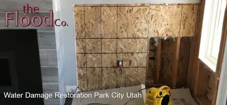 Water Damage Restoration Park City Utah services from The Flood Co. A picture of blowers drying a wet wall.
