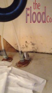 A picture of mold damage under a sink due to leaking.
