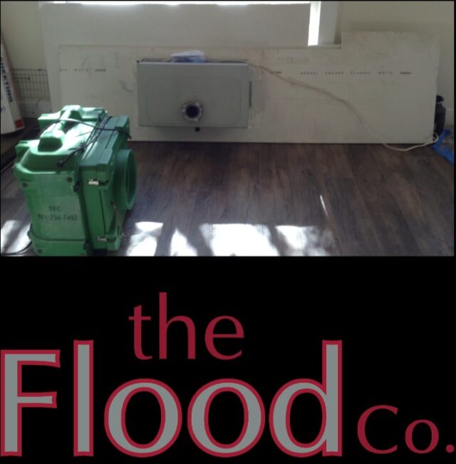 Kitchen mold removal