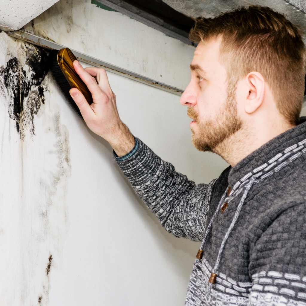 Utah homeowner receiving a free mold damage inspection.