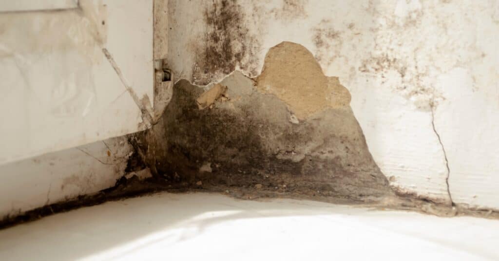 Restored kitchen after black mold remediation in Centerville, UT.