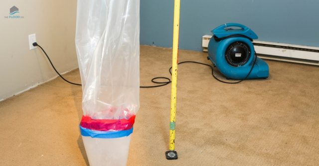 Professional disaster cleanup team handling snowmelt flooding