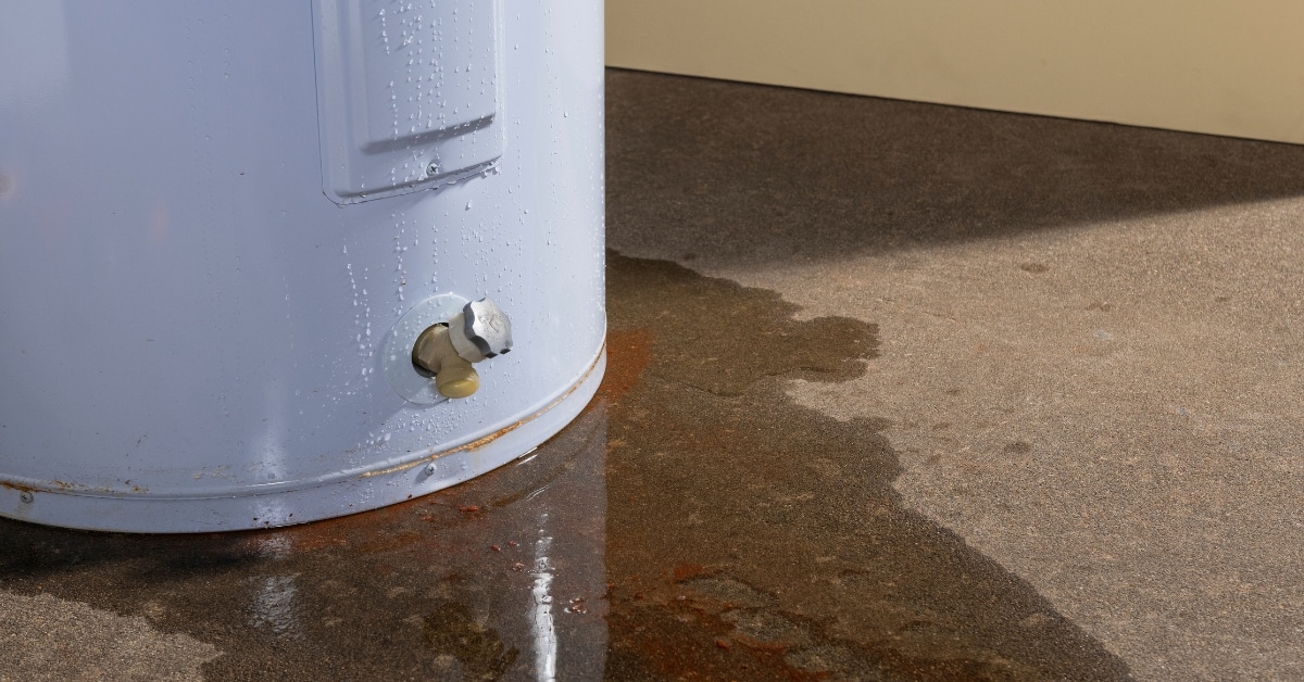 Professional handling water heater leak in Utah home