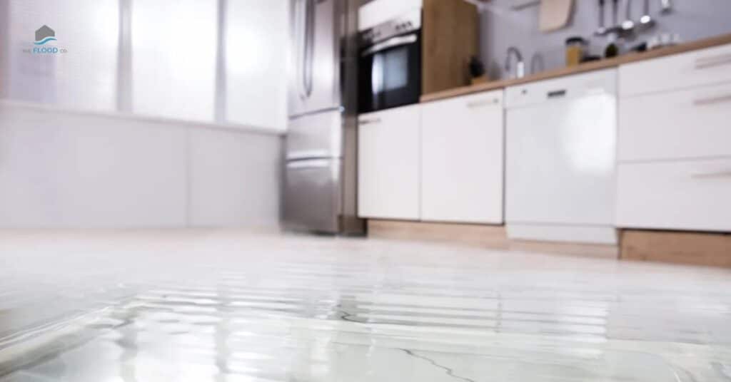 Dishwasher leak causing water damage to kitchen floor