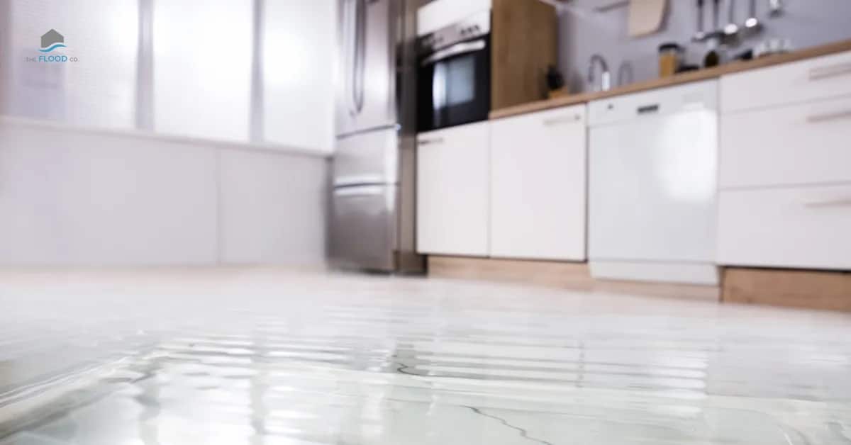 Dishwasher leak causing water damage to kitchen floor