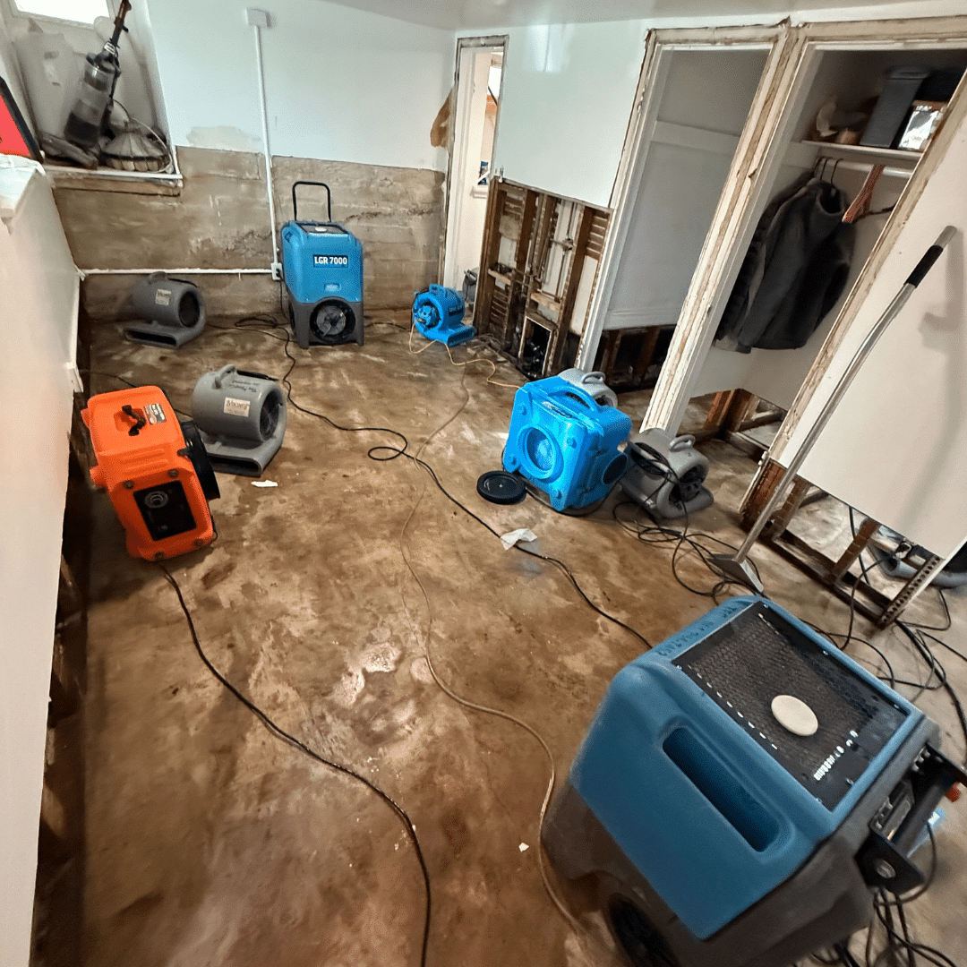 Beginner’s Guide to Cleaning a Flooded House Stress-Free