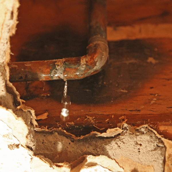 Wall with hidden water damage and peeling paint from plumbing leak