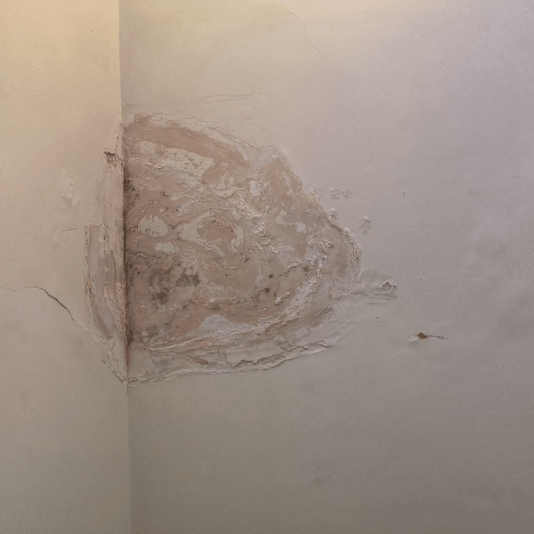 Water damaged wood framing behind wall