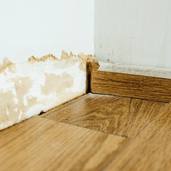 Mold growth on basement wall after water damage