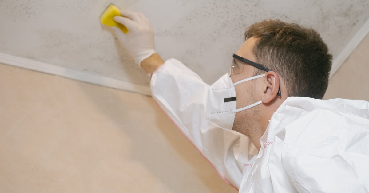 Mold remediation technician inspecting home interior in Utah.