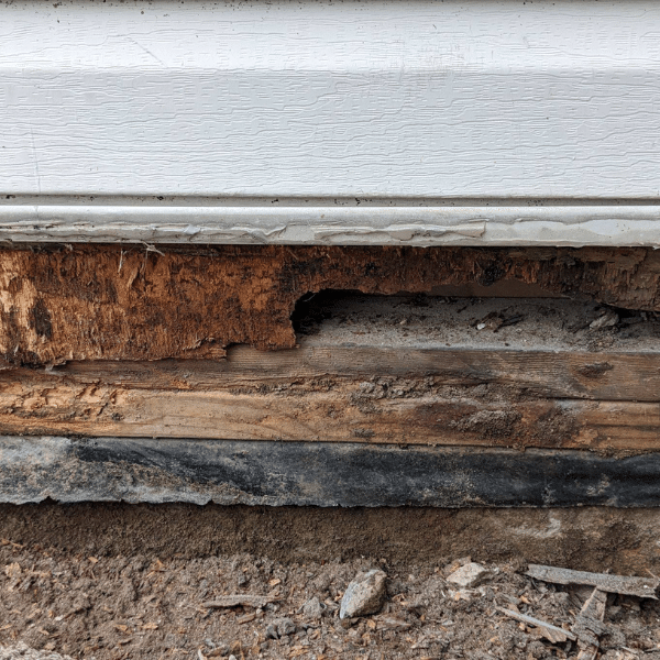 Water damaged wood framing behind wall